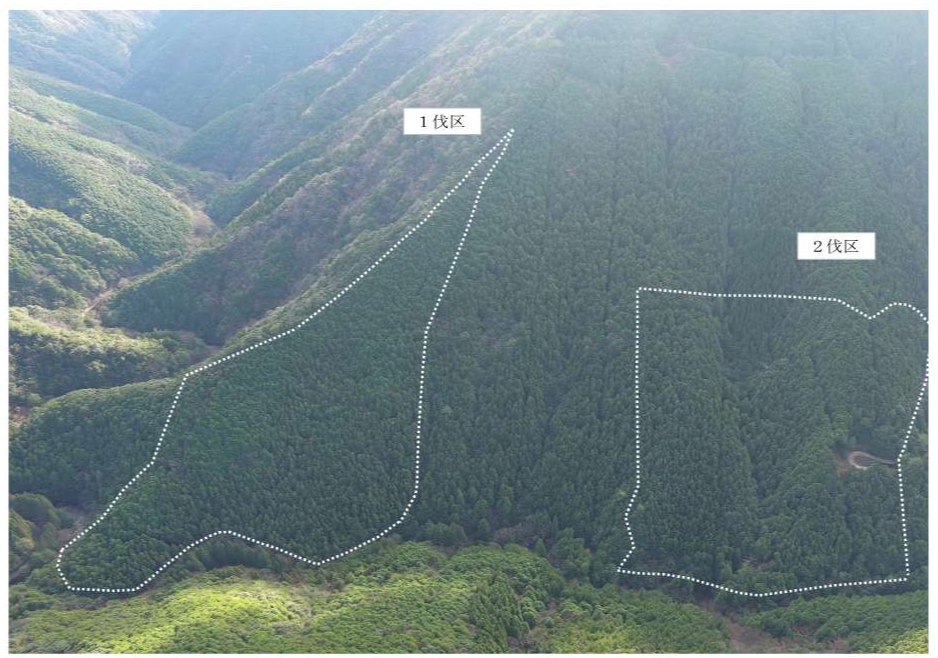 黒尊山15いドローン撮影画像