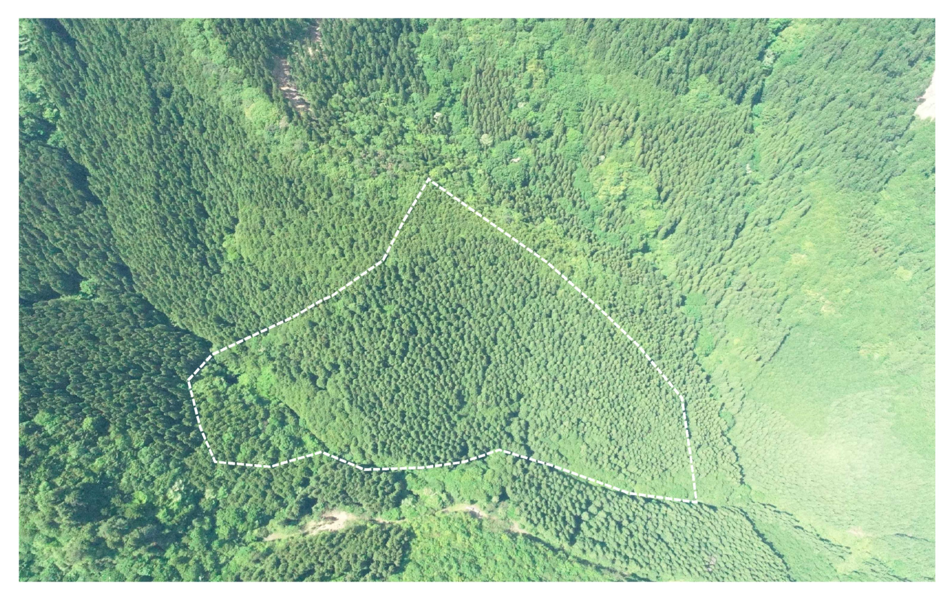 芹川山4189いドローン撮影画像