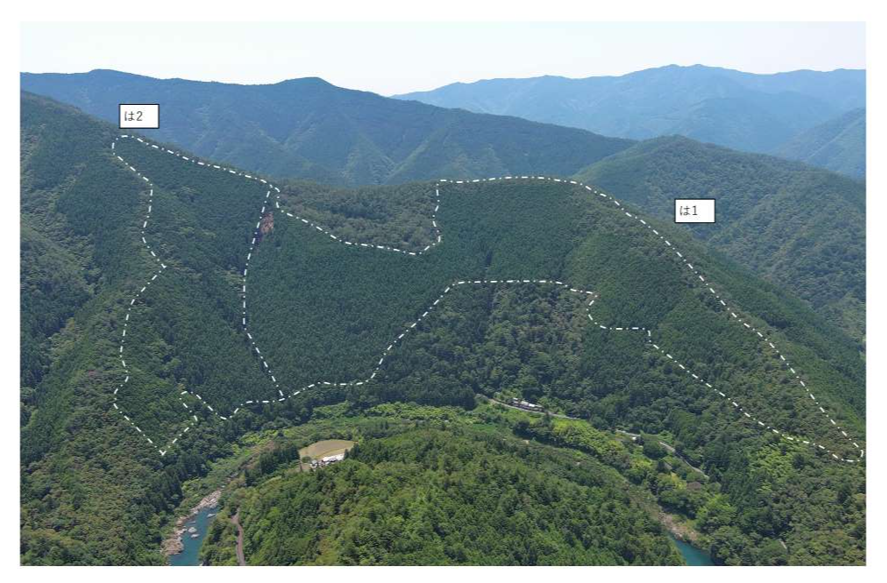 横山4035は1、は2