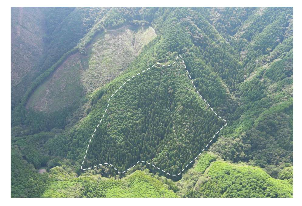 川奥山55い遠望写真