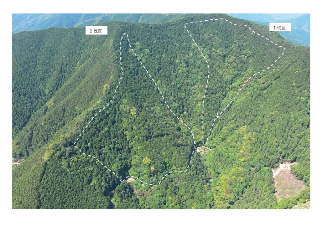 掃地山70ろ遠望写真