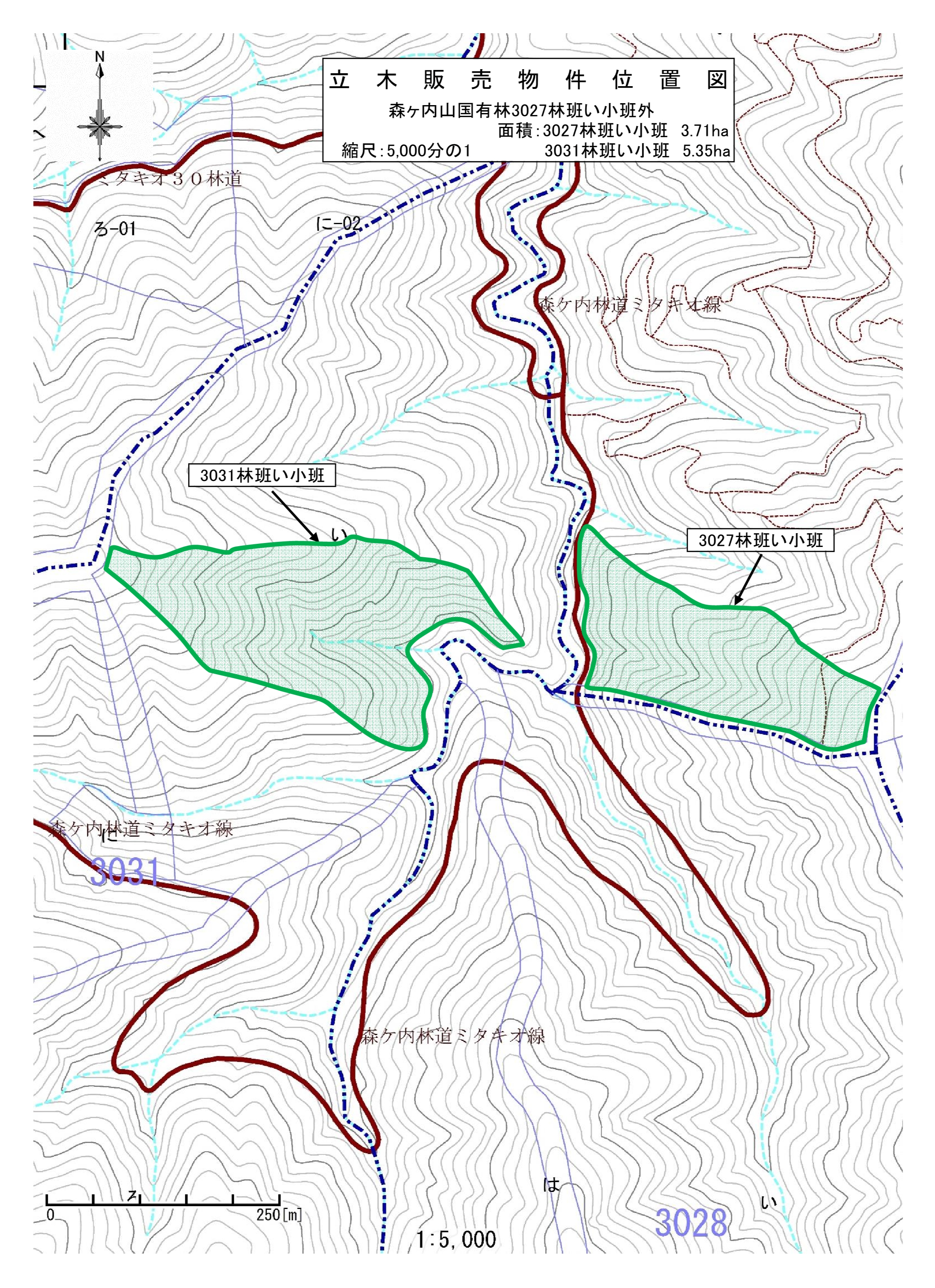 森ヶ内山3031い位置図