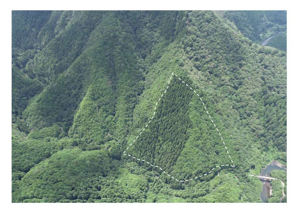 成川山4174い1遠望写真