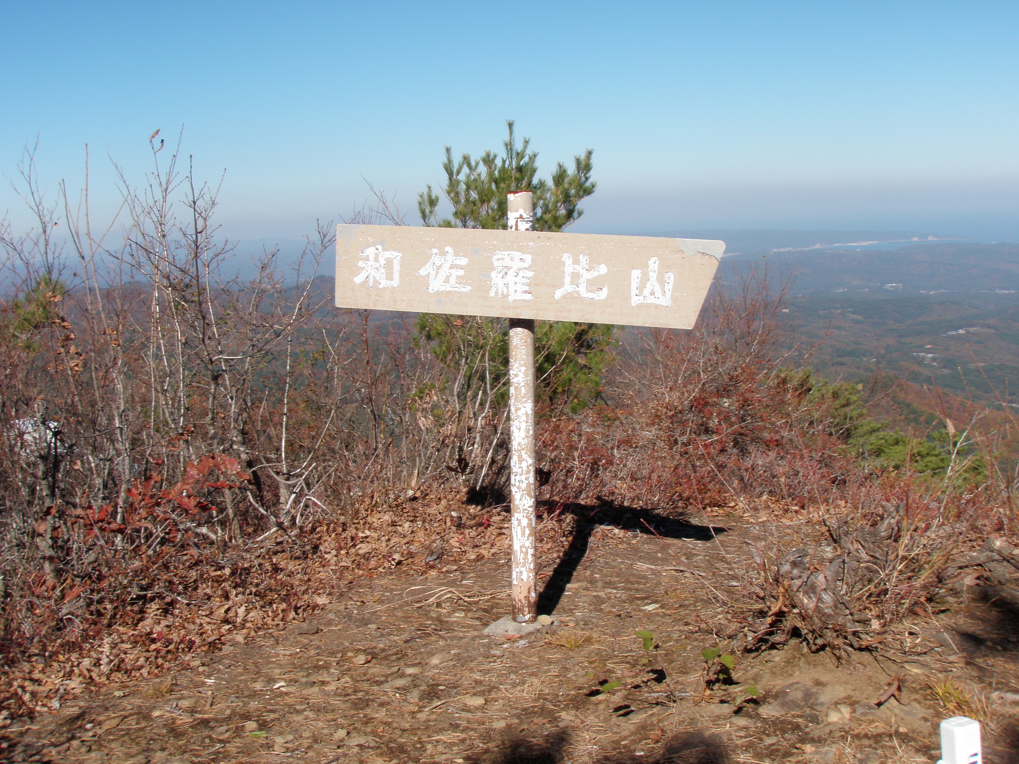 男和佐羅比山頂