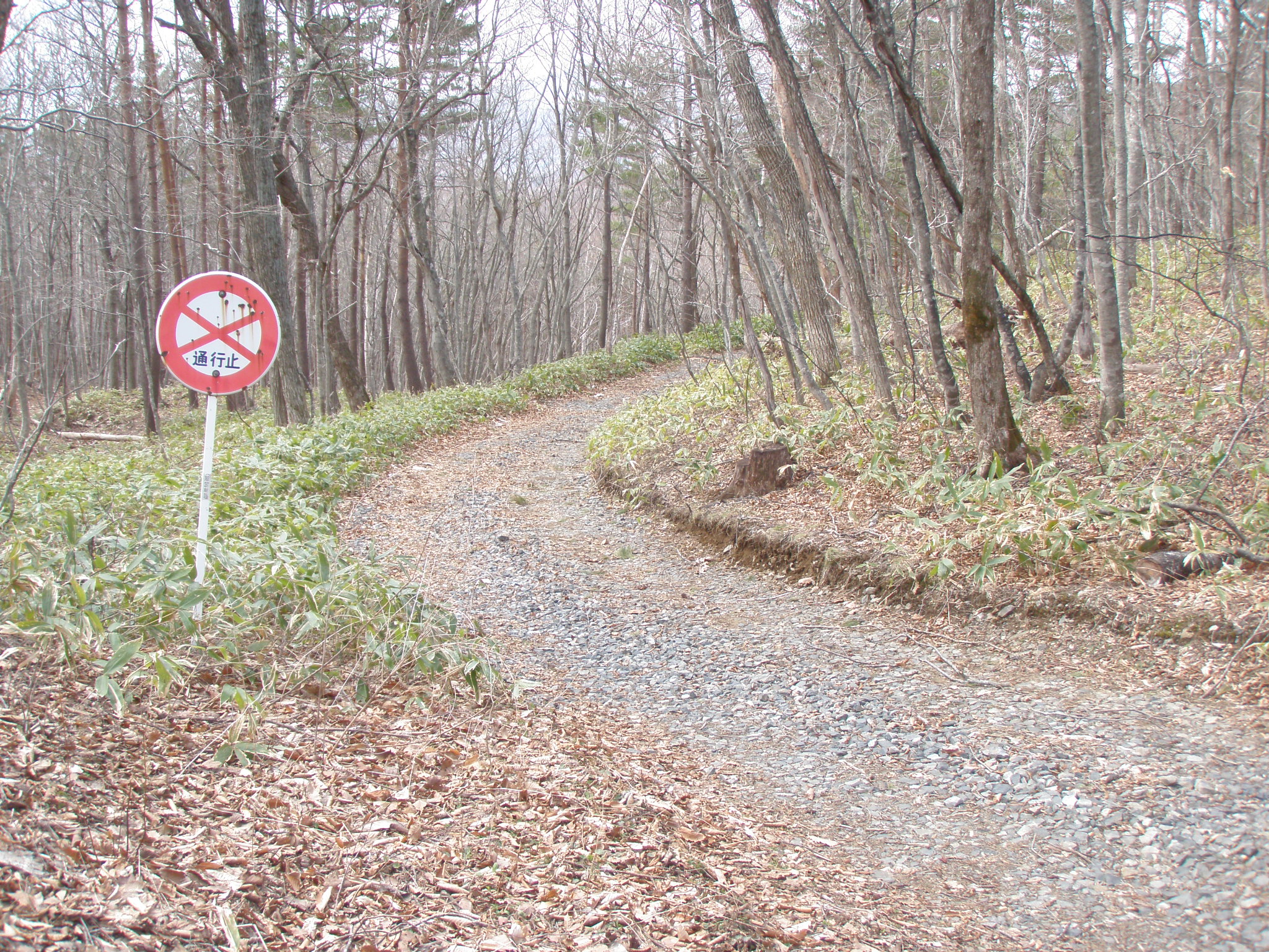 塩の道の一部分