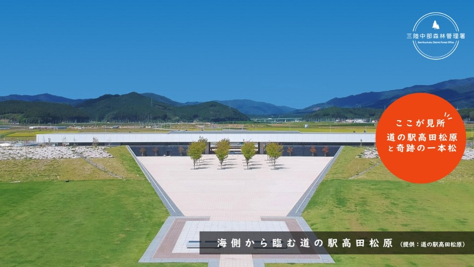 道の駅高田松原と奇跡の一本松