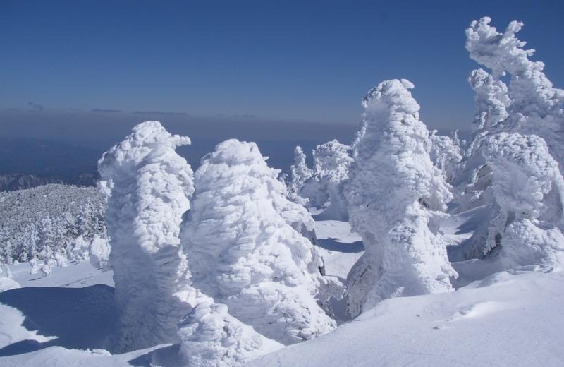 天元台（吾妻連峰）樹氷