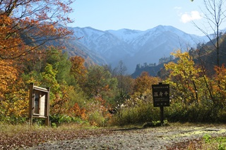 温身平(ホーム)