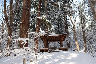 矢立峠風景林（ホーム）