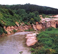 銅山川右岸に露出した地すべり面