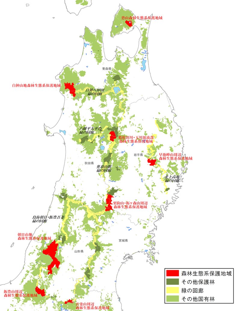 緑の回廊位置図