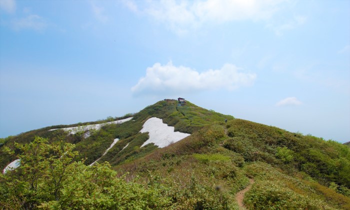 太平山周辺生物群集保護林