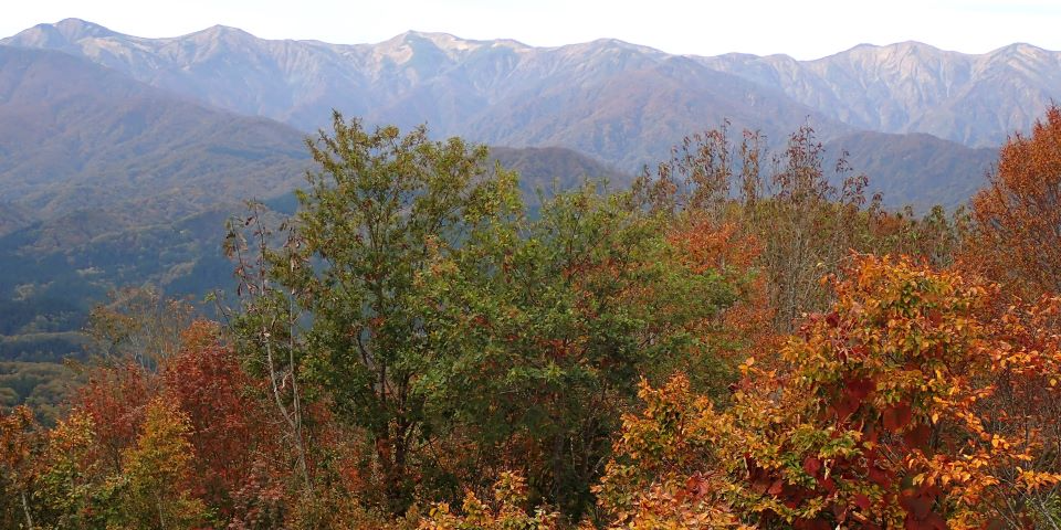 大頭森山より望む朝日山地主稜線