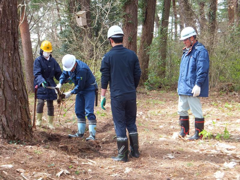 H25しんちゃんの森整備10