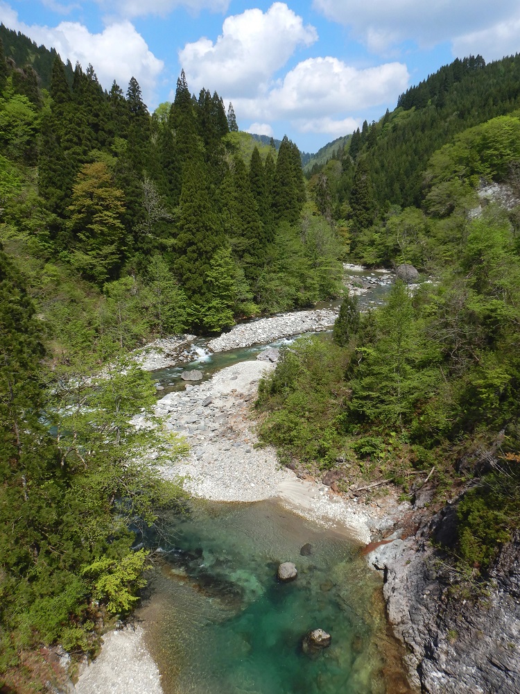 1_新緑の太良峡(2019.5.16)