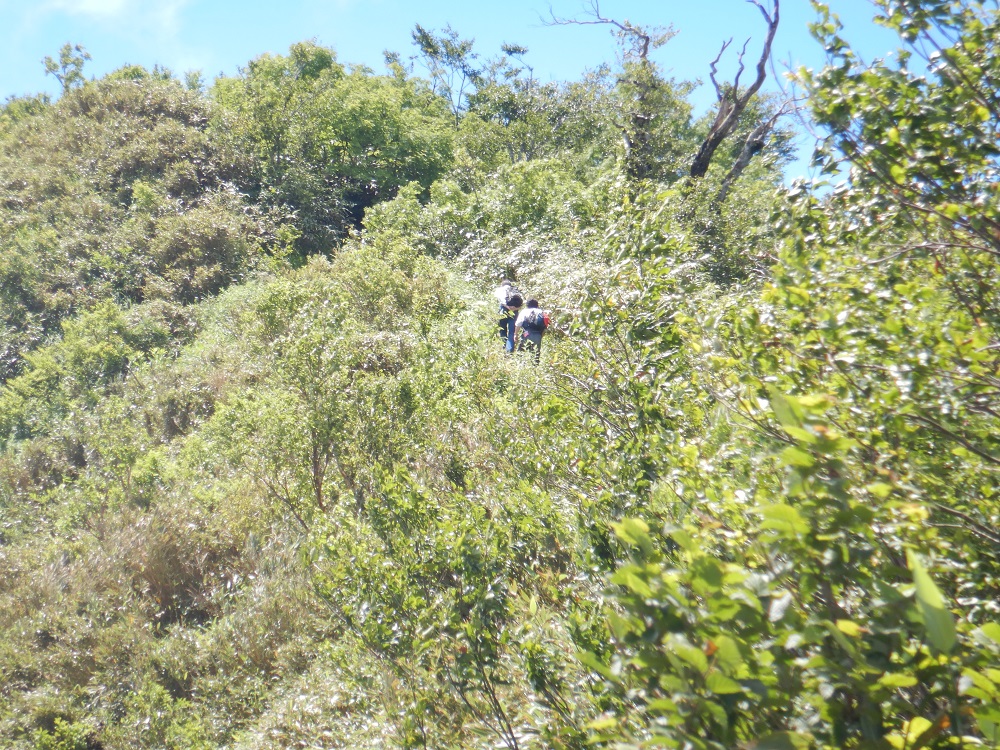 藤里駒ヶ岳・田苗代コース