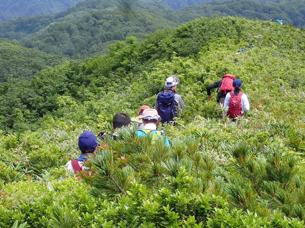 小岳コース