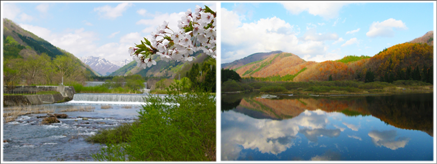 白川ダム風景林画像