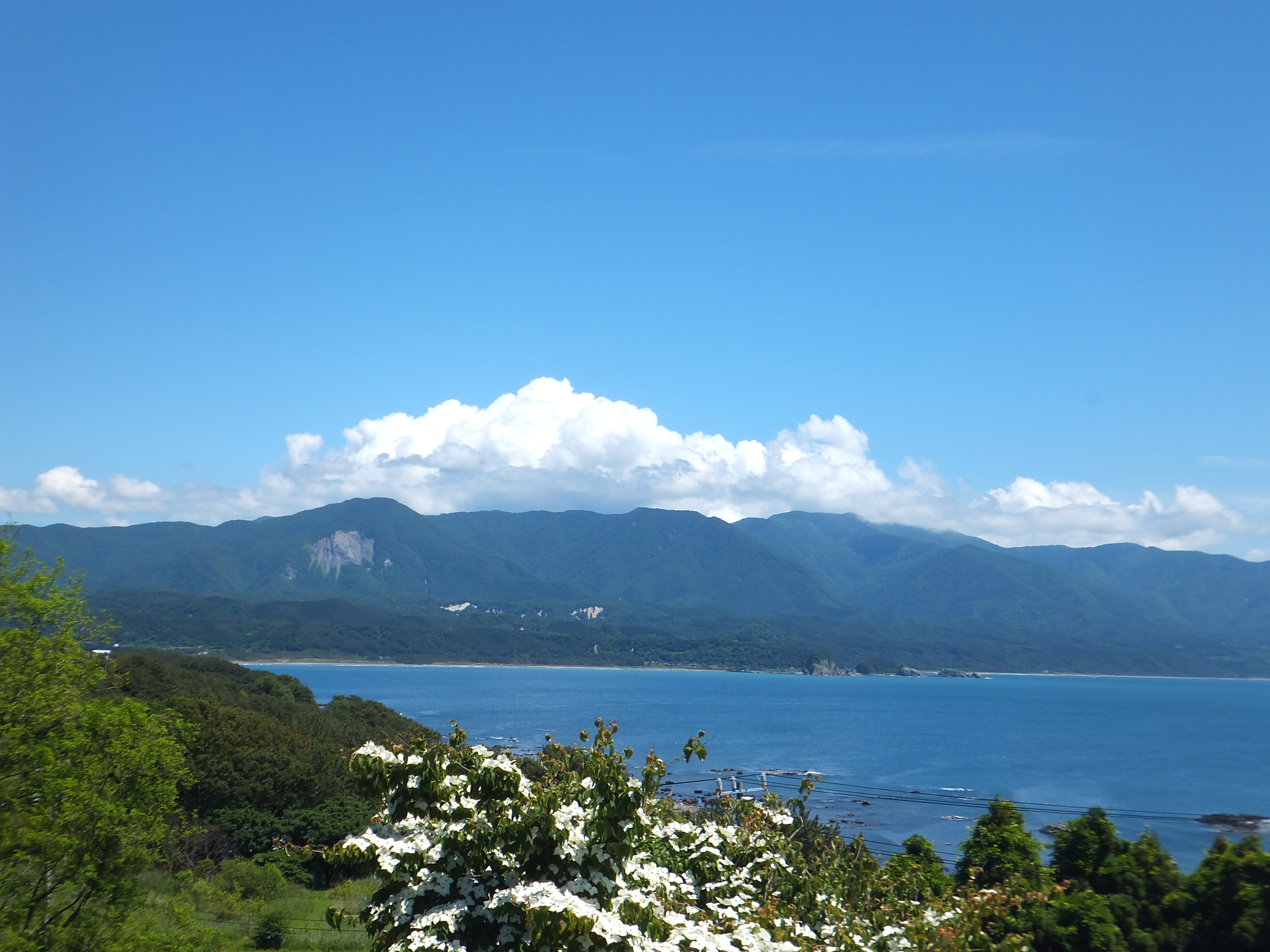 初夏の白神岳