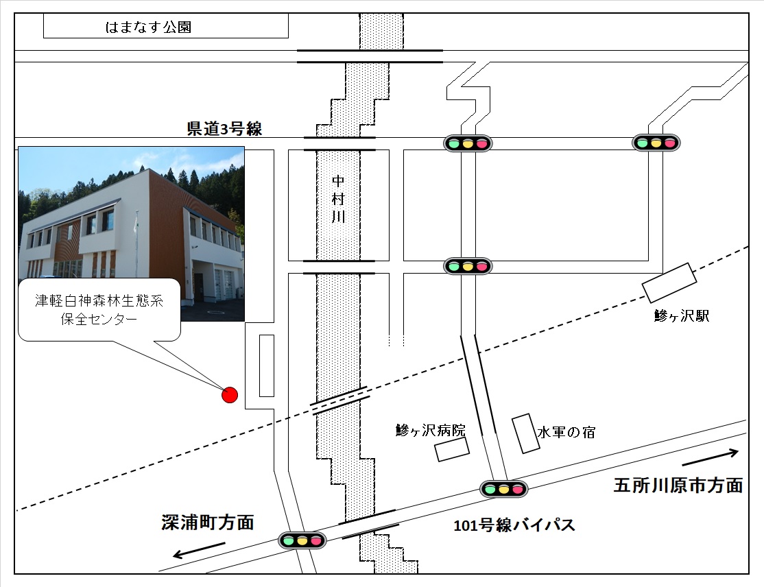 津軽白神森林生態系保全センター周辺図