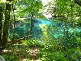 沸壺の池