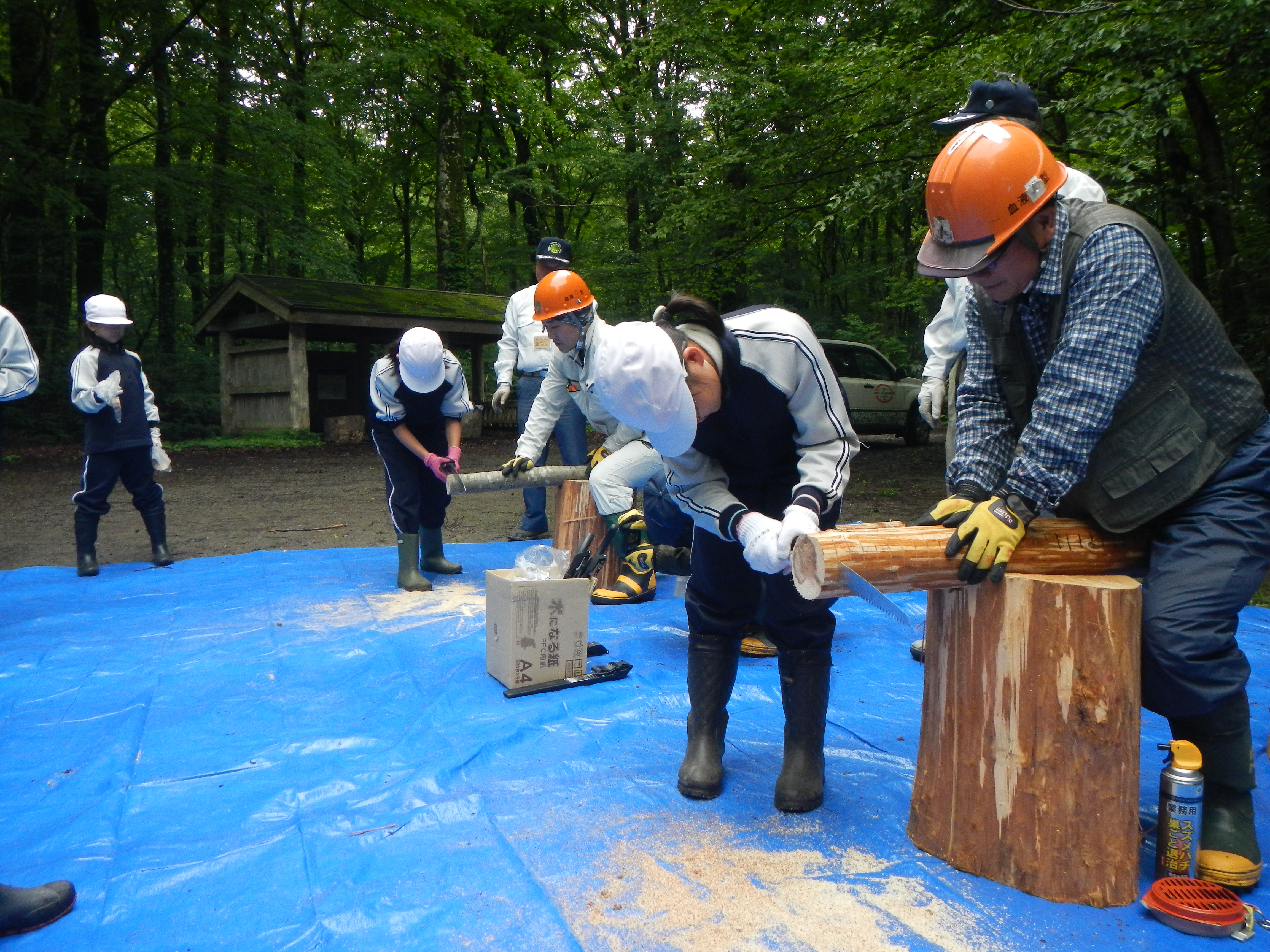 丸太切り体験