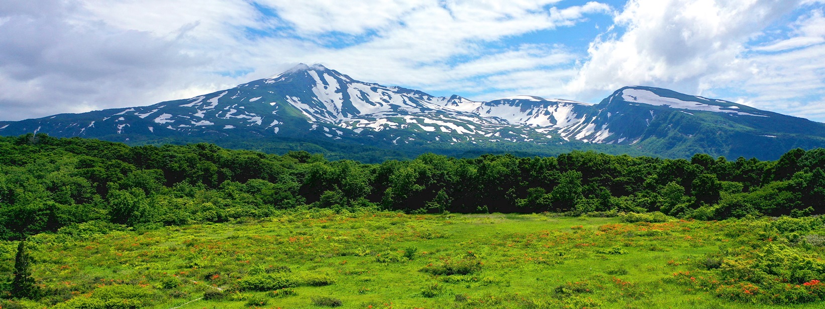 桑ノ木台湿原と鳥海山